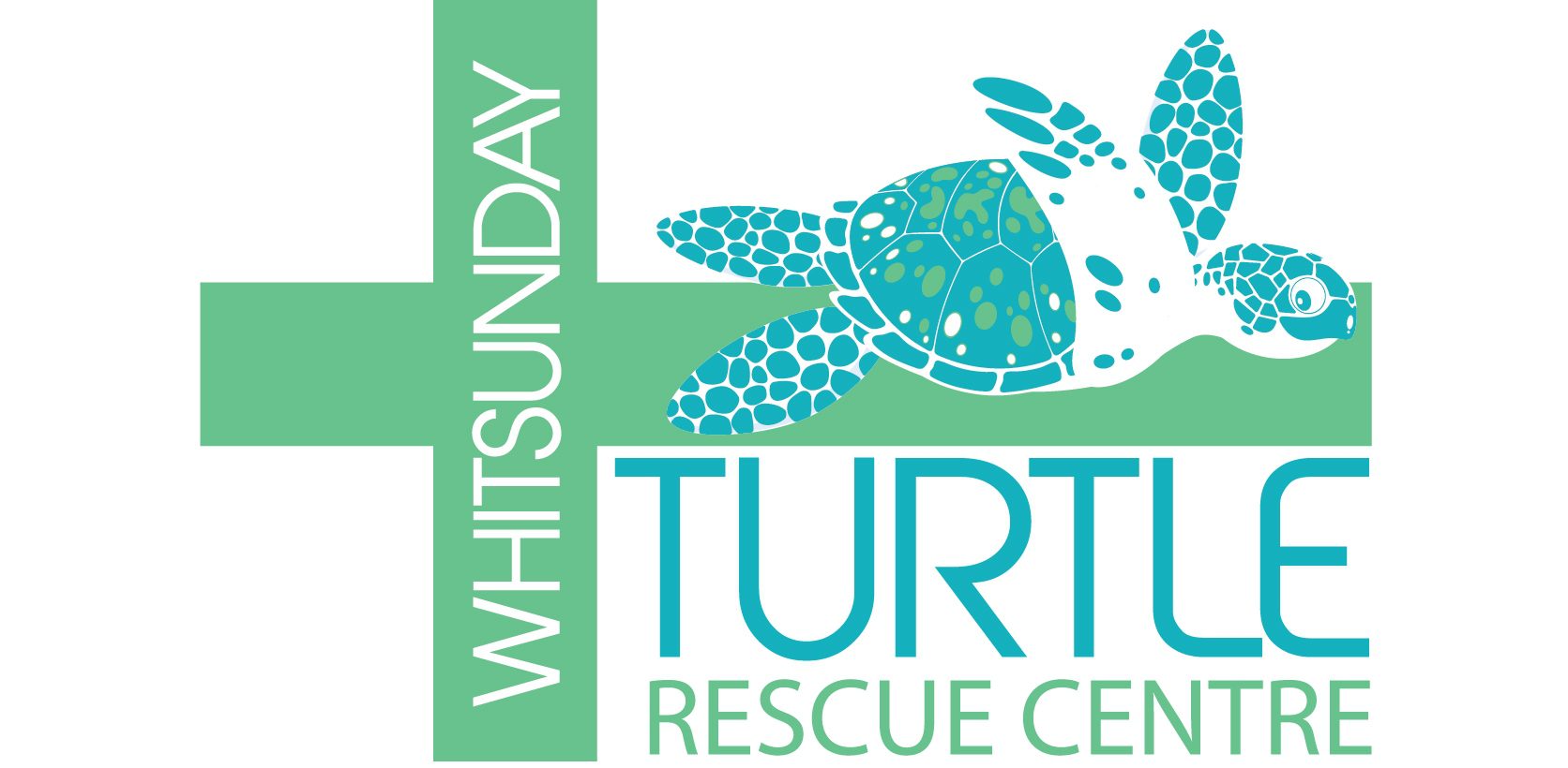 Support Whitsunday Eco Barge Whitsunday Turtle Rescue Centre